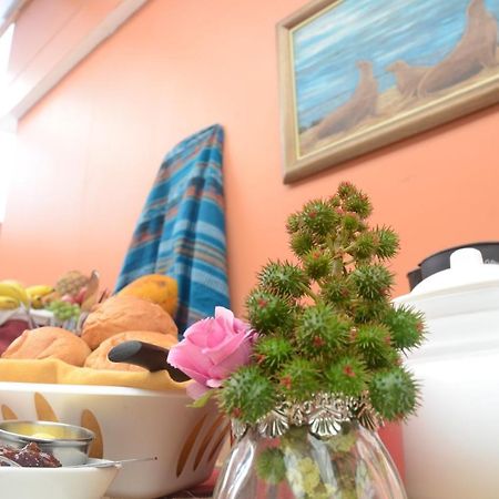 Hostal La Posada De Jose Carlos Пуерто-Бакерісо-Морено Екстер'єр фото